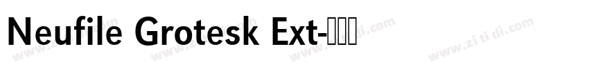 Neufile Grotesk Ext字体转换